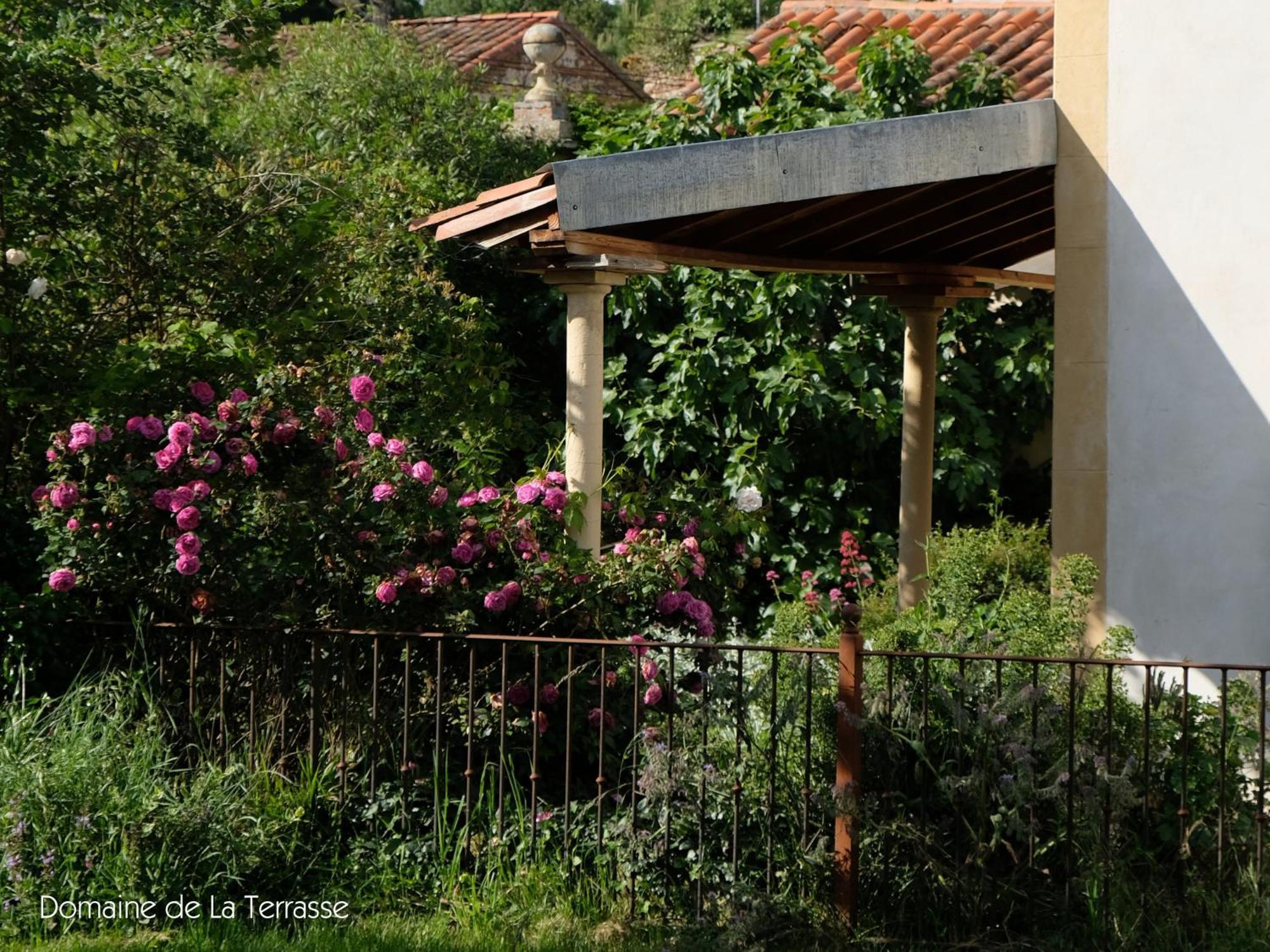 Domaine De La Terrasse Apartment Carbonne Екстериор снимка
