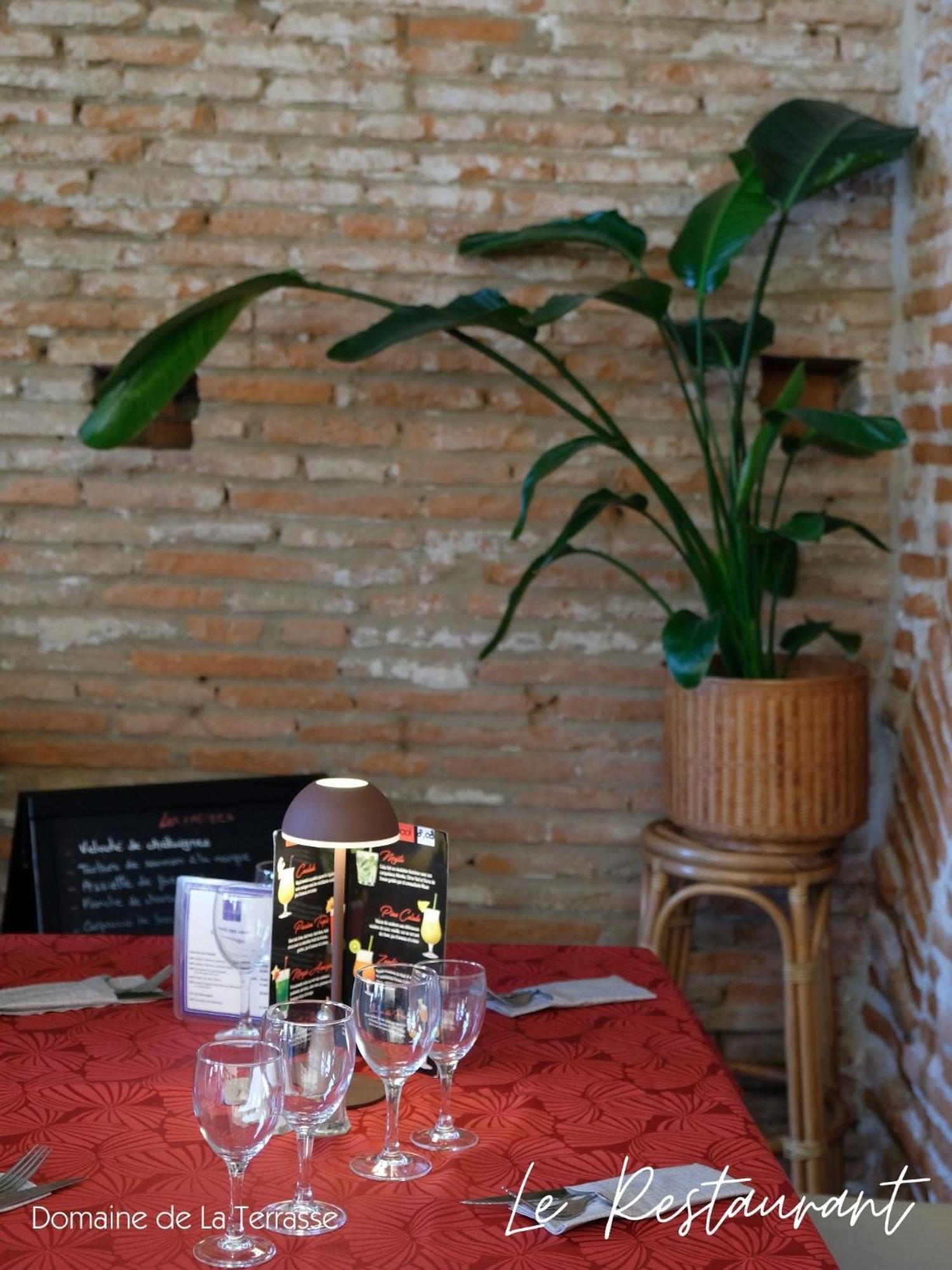 Domaine De La Terrasse Apartment Carbonne Екстериор снимка