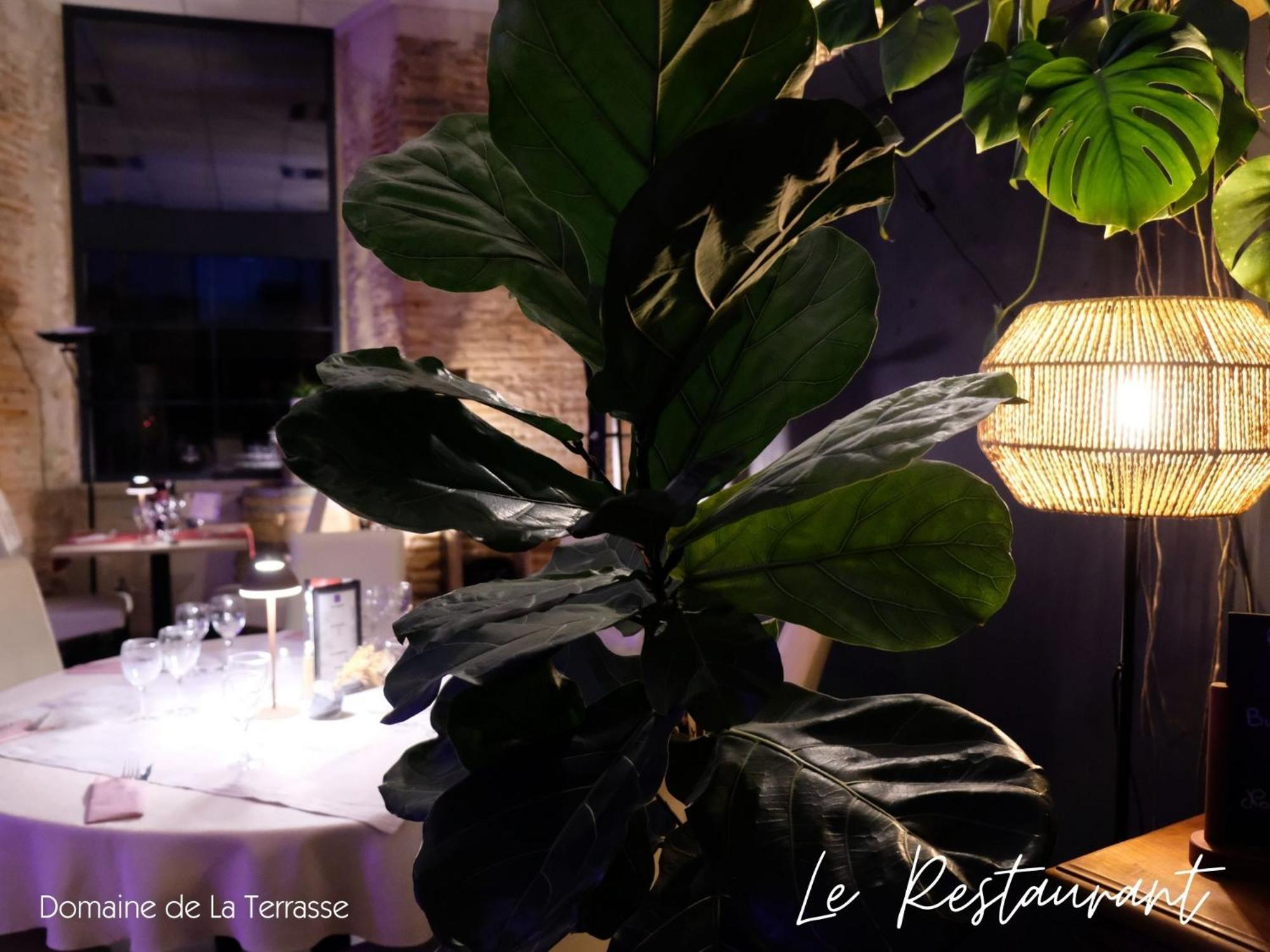Domaine De La Terrasse Apartment Carbonne Екстериор снимка